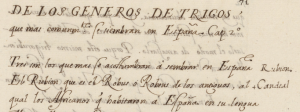 Image extraite du site Transcriptorium