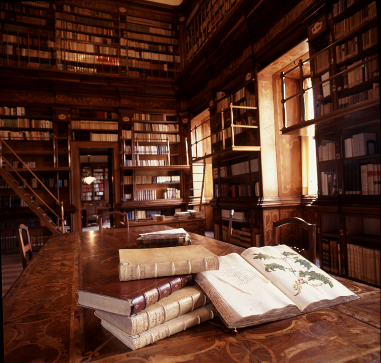 biblioteca_del_collegio_alberoni_-_piacenza biblioteca_del_collegio_alberoni_-_piacenza
