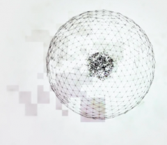 network network